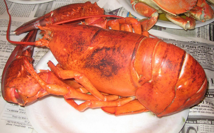 tom-hum-canada-dong-lanh (23)