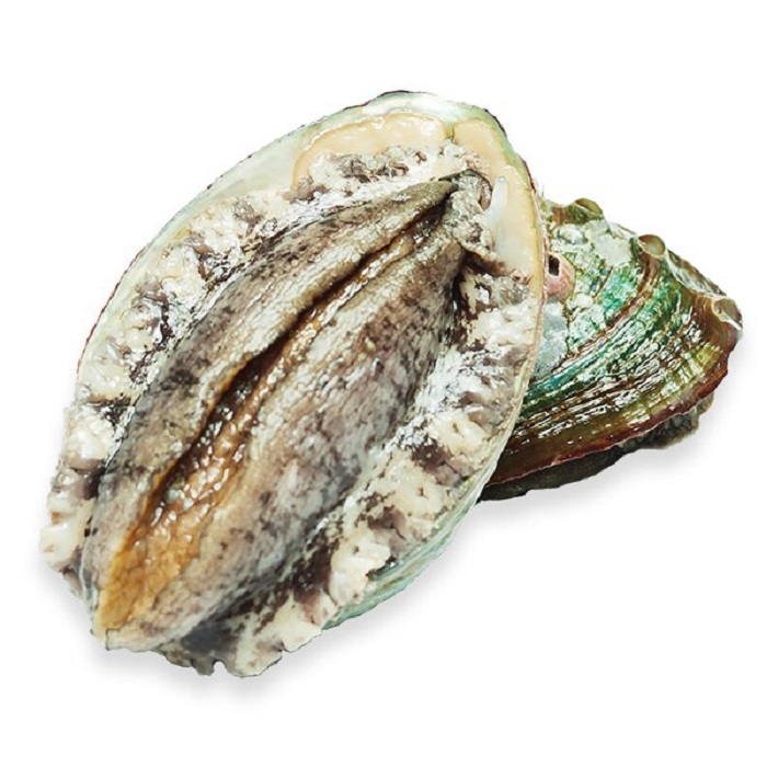 Bào ngư hàn quốc nhập khẩu