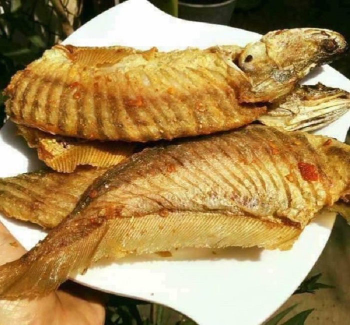 cá thác lác rút xương