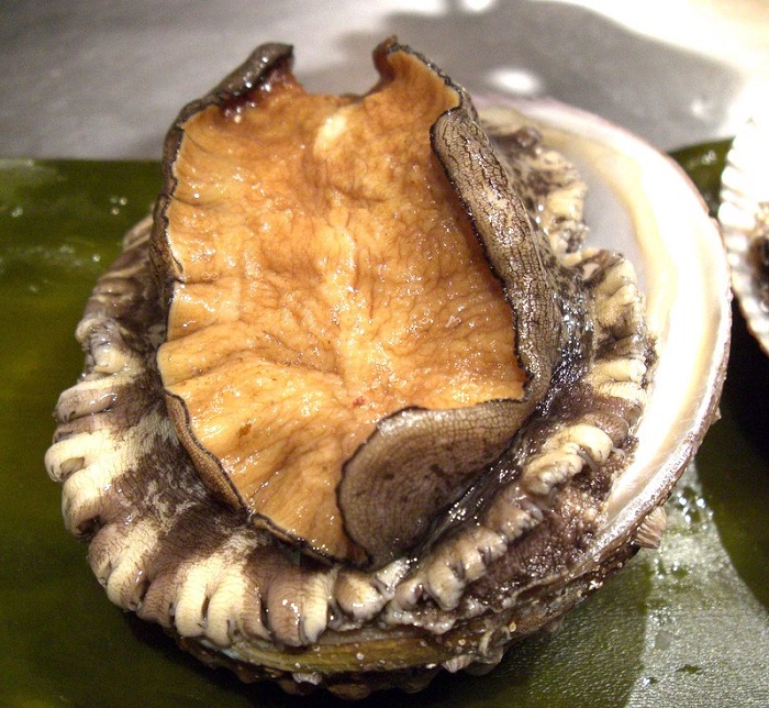 abalone 5