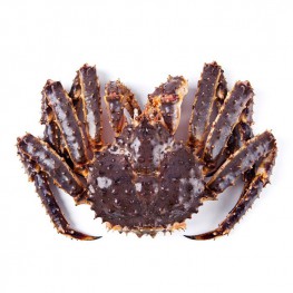 Cua Hoàng Đế - King Crab - Cua Alaska Tươi Sống Giá Rẻ, Giao Hàng Toàn Quốc