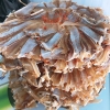 Khô cá đuối