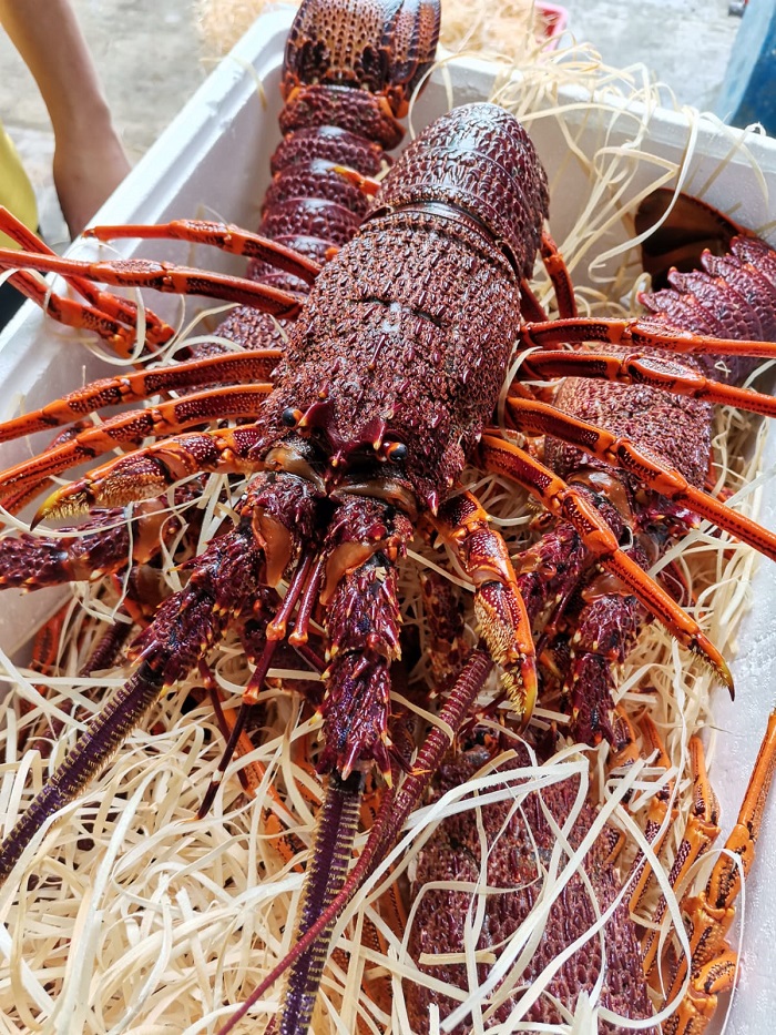 9. Kết luận và khuyến nghị